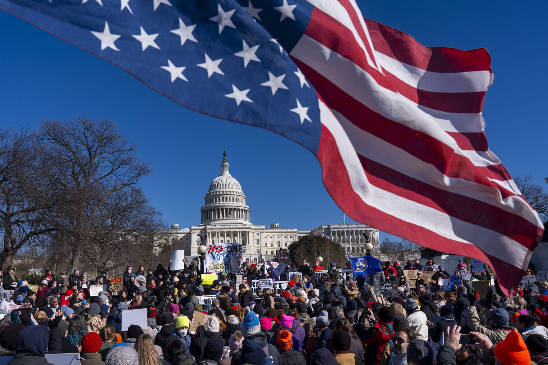 Presidents Day Protest